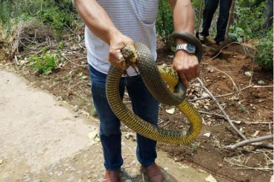 河南,邂逅自然的浪漫之地