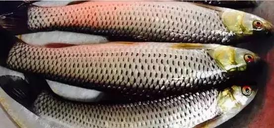 海南热带宝岛的魅力与独特风采