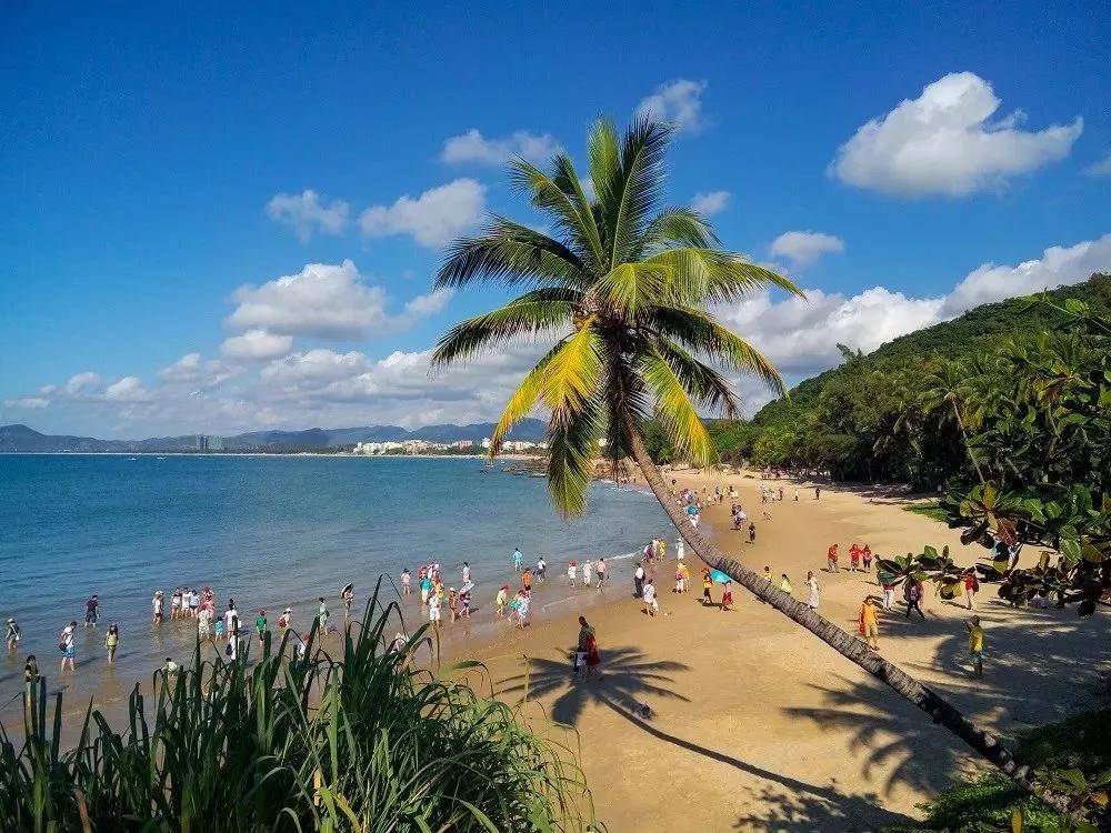 海南,热带天堂的绿色崛起之路